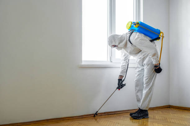 Best Commercial Pest Control  in Leisure Village East, NJ